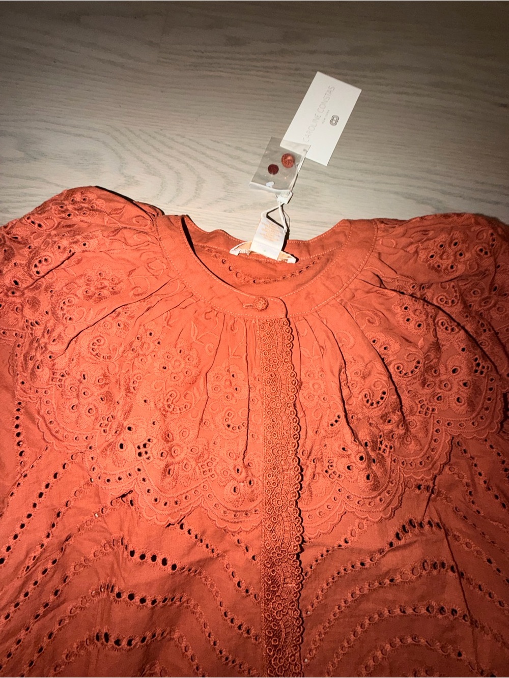 Caroline Constas Rust Eyelet Ruffle Blouse - Picture 7 of 9